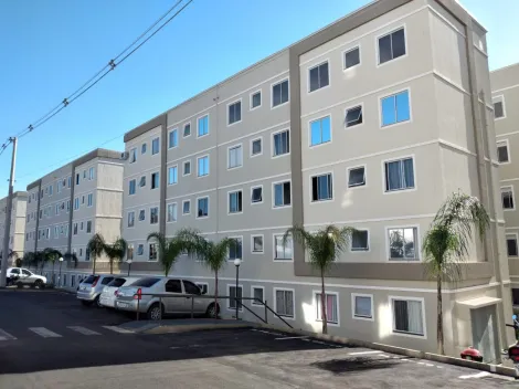 Botucatu - Lavapés - Apartamento - Padrão - Locaçao