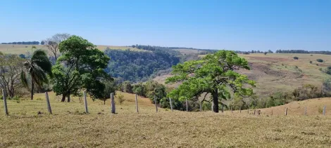 Botucatu - Vale do Aracatu - Rural - Sítio - Venda
