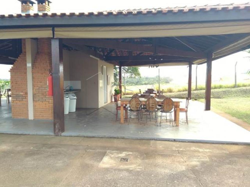 Alugar Apartamento / Padrão em Botucatu R$ 1.300,00 - Foto 11 Alugar Apartamento / Padrão em Botucatu R$ 1.300,00 - Foto 11