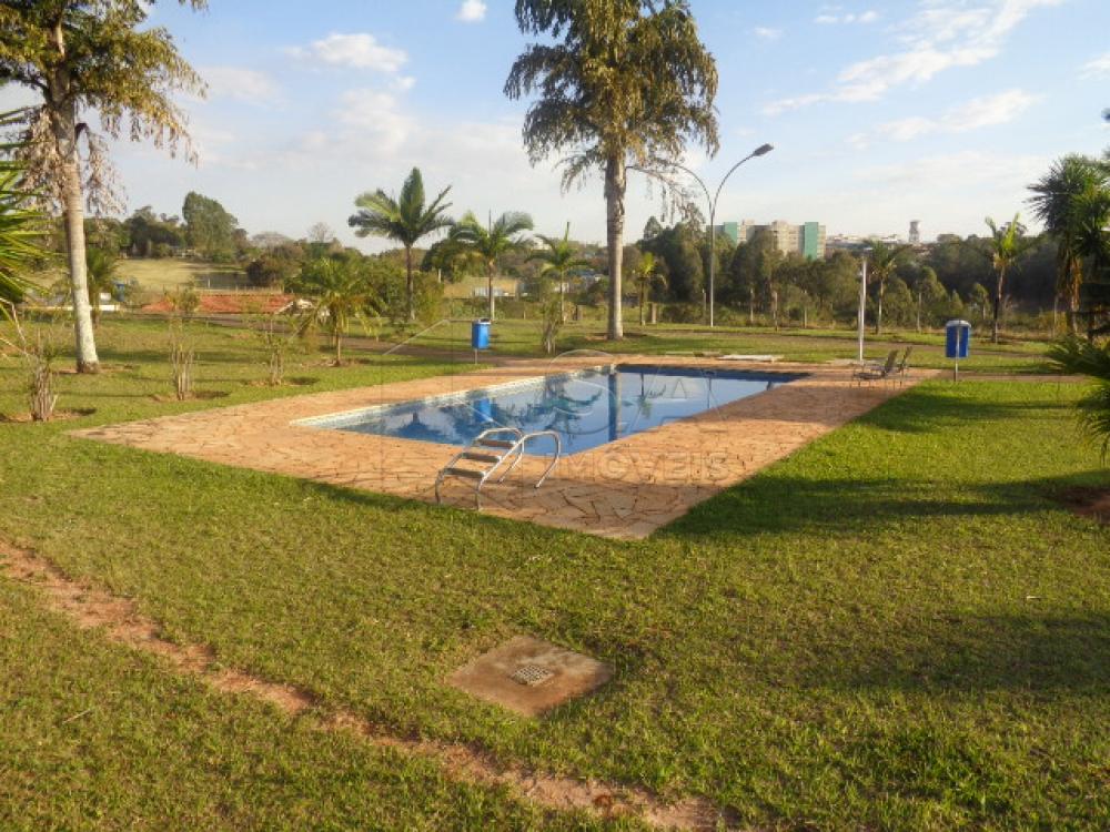 Alugar Apartamento / Padrão em Botucatu apenas R$ 700,00 - Foto 3 Alugar Apartamento / Padrão em Botucatu apenas R$ 700,00 - Foto 3