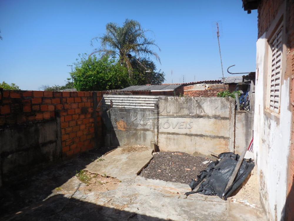 Alugar Casa / Padrão em Botucatu R$ 600,00 - Foto 9 Alugar Casa / Padrão em Botucatu R$ 600,00 - Foto 9