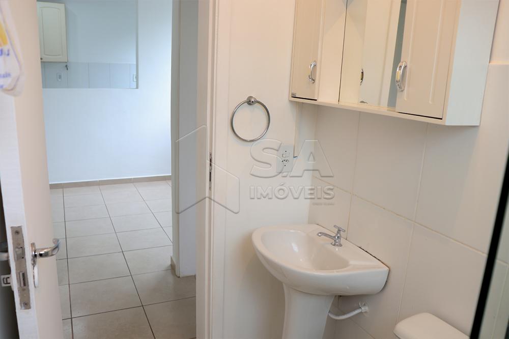 Alugar Apartamento / Padrão em Botucatu R$ 850,00 - Foto 11 Alugar Apartamento / Padrão em Botucatu R$ 850,00 - Foto 11
