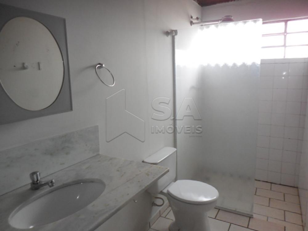 Alugar Apartamento / Padrão em Botucatu R$ 900,00 - Foto 5 Alugar Apartamento / Padrão em Botucatu R$ 900,00 - Foto 5