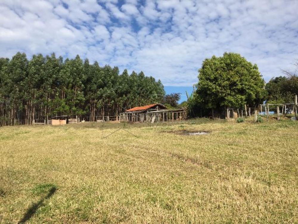 Comprar Rural / Sítio em Botucatu R$ 690.000,00 - Foto 8 Comprar Rural / Sítio em Botucatu R$ 690.000,00 - Foto 8