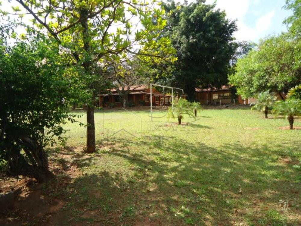 Comprar Rural / Chácara em São Manuel R$ 600.000,00 - Foto 1 Comprar Rural / Chácara em São Manuel R$ 600.000,00 - Foto 1