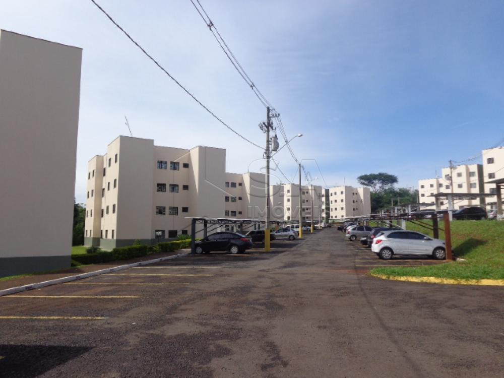 Comprar Apartamento / Padrão em Botucatu apenas R$ 115.000,00 - Foto 12 Comprar Apartamento / Padrão em Botucatu apenas R$ 115.000,00 - Foto 12