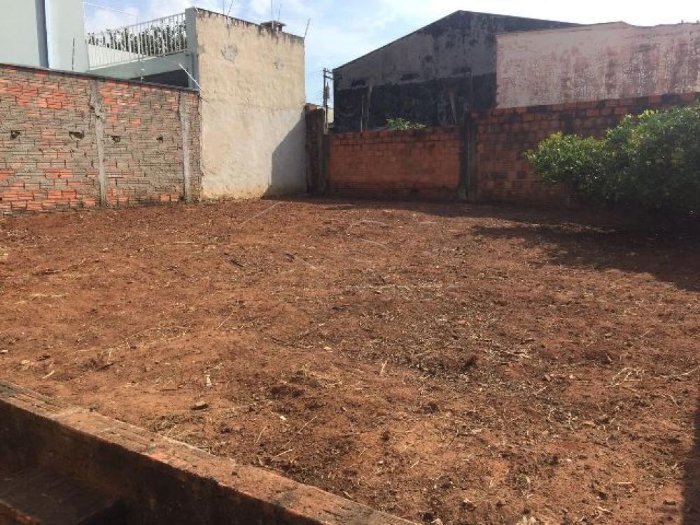 Comprar Casa / Padrão em Botucatu apenas R$ 160.000,00 - Foto 9 Comprar Casa / Padrão em Botucatu apenas R$ 160.000,00 - Foto 9