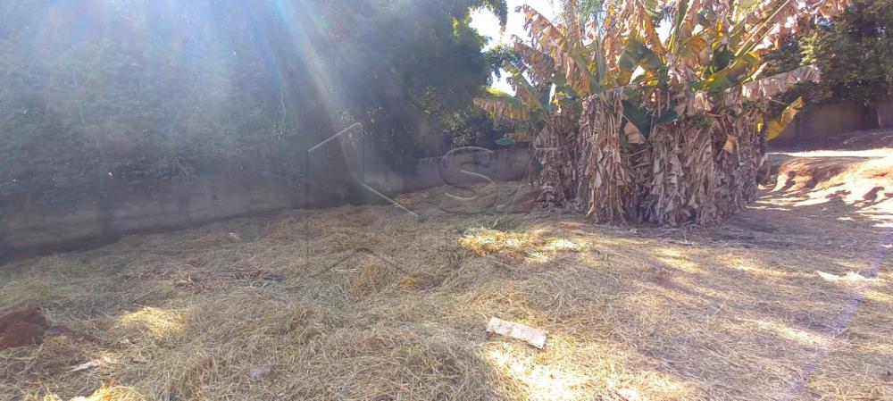 Comprar Terreno / Padrão em Botucatu R$ 500,00 - Foto 5 Comprar Terreno / Padrão em Botucatu R$ 500,00 - Foto 5