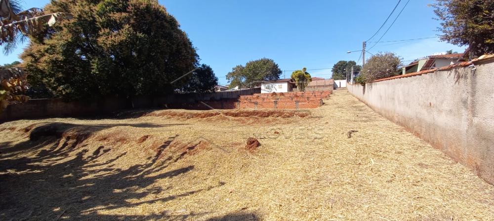 Comprar Terreno / Padrão em Botucatu R$ 500,00 - Foto 7 Comprar Terreno / Padrão em Botucatu R$ 500,00 - Foto 7