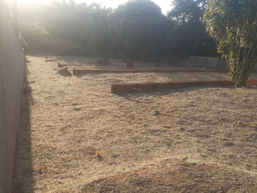 Comprar Terreno / Padrão em Botucatu R$ 500,00 - Foto 9 Comprar Terreno / Padrão em Botucatu R$ 500,00 - Foto 9