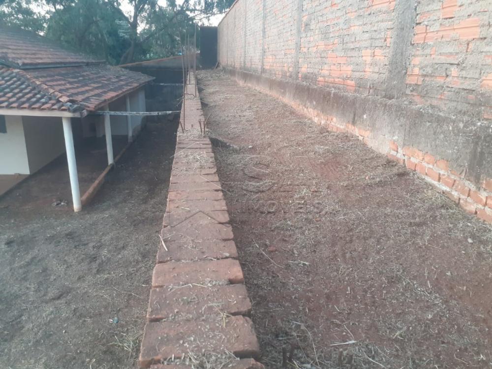 Comprar Terreno / Padrão em Botucatu R$ 500,00 - Foto 13 Comprar Terreno / Padrão em Botucatu R$ 500,00 - Foto 13