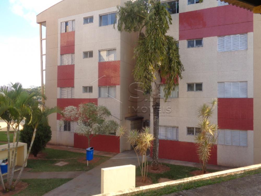 Alugar Apartamento / Padrão em Botucatu apenas R$ 700,00 - Foto 1 Alugar Apartamento / Padrão em Botucatu apenas R$ 700,00 - Foto 1