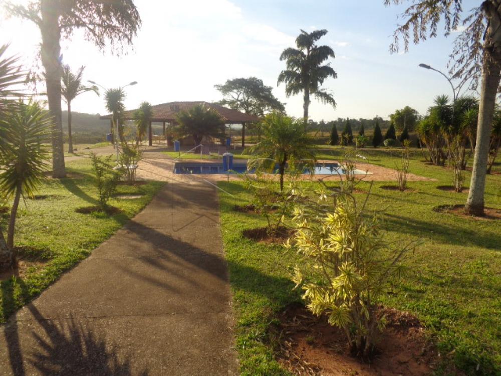 Alugar Apartamento / Padrão em Botucatu apenas R$ 700,00 - Foto 4 Alugar Apartamento / Padrão em Botucatu apenas R$ 700,00 - Foto 4