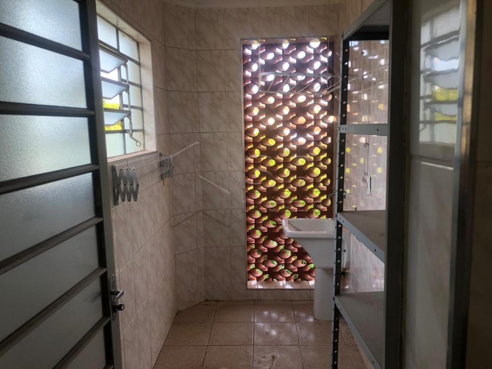 Alugar Apartamento / Mobiliado em Botucatu apenas R$ 800,00 - Foto 3 Alugar Apartamento / Mobiliado em Botucatu apenas R$ 800,00 - Foto 3