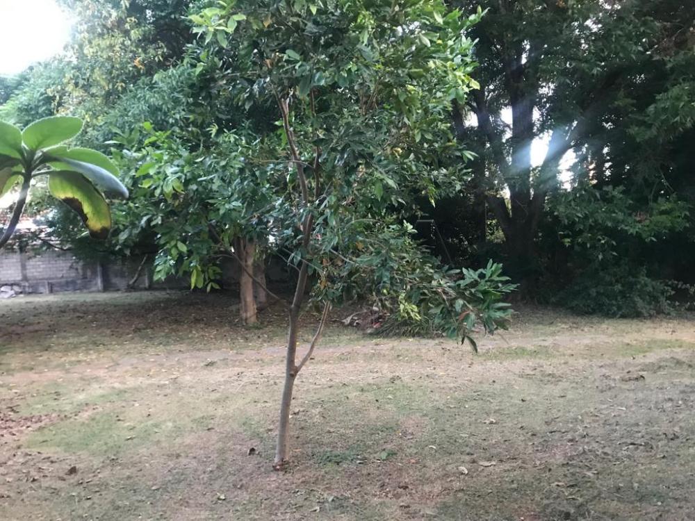 Comprar Terreno / Padrão em Botucatu - Foto 2 Comprar Terreno / Padrão em Botucatu - Foto 2