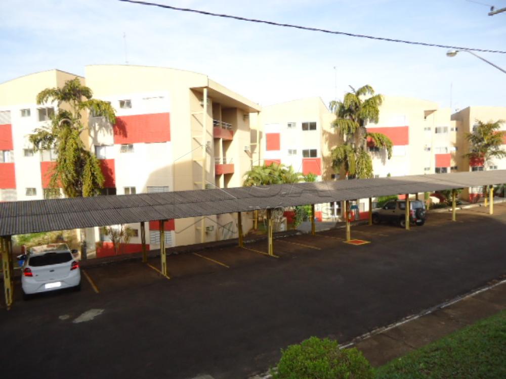 Alugar Apartamento / Mobiliado em Botucatu apenas R$ 1.200,00 - Foto 12 Alugar Apartamento / Mobiliado em Botucatu apenas R$ 1.200,00 - Foto 12