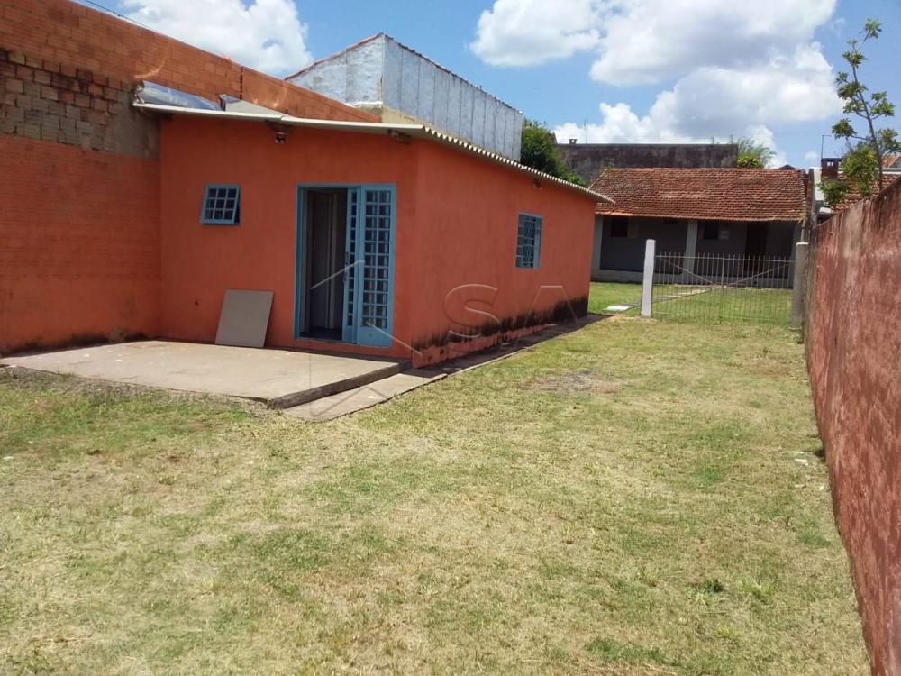 Alugar Casa / Padrão em Botucatu apenas R$ 700,00 - Foto 10 Alugar Casa / Padrão em Botucatu apenas R$ 700,00 - Foto 10