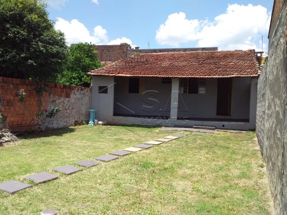 Alugar Casa / Padrão em Botucatu apenas R$ 700,00 - Foto 1 Alugar Casa / Padrão em Botucatu apenas R$ 700,00 - Foto 1