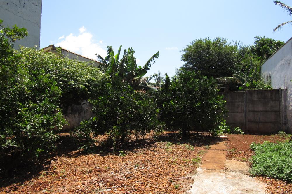 Comprar Casa / Padrão em Botucatu apenas R$ 850.000,00 - Foto 42 Comprar Casa / Padrão em Botucatu apenas R$ 850.000,00 - Foto 42