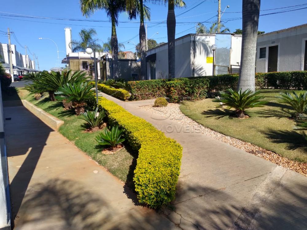 Comprar Apartamento / Padrão em Botucatu apenas R$ 140.000,00 - Foto 17 Comprar Apartamento / Padrão em Botucatu apenas R$ 140.000,00 - Foto 17