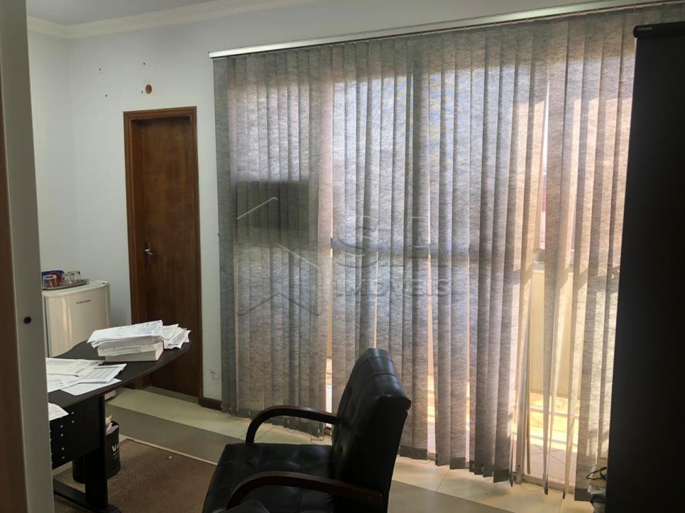 Alugar Comercial / Loja em Botucatu apenas R$ 800,00 - Foto 6 Alugar Comercial / Loja em Botucatu apenas R$ 800,00 - Foto 6
