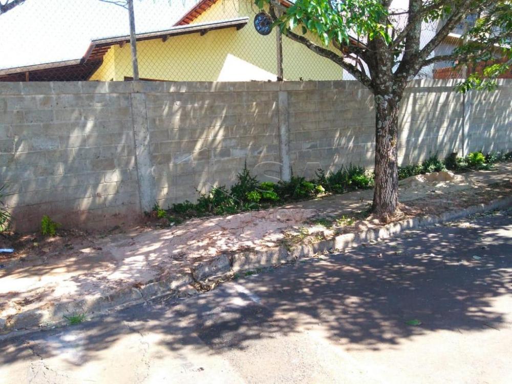 Comprar Casa / Padrão em Botucatu apenas R$ 850.000,00 - Foto 15 Comprar Casa / Padrão em Botucatu apenas R$ 850.000,00 - Foto 15