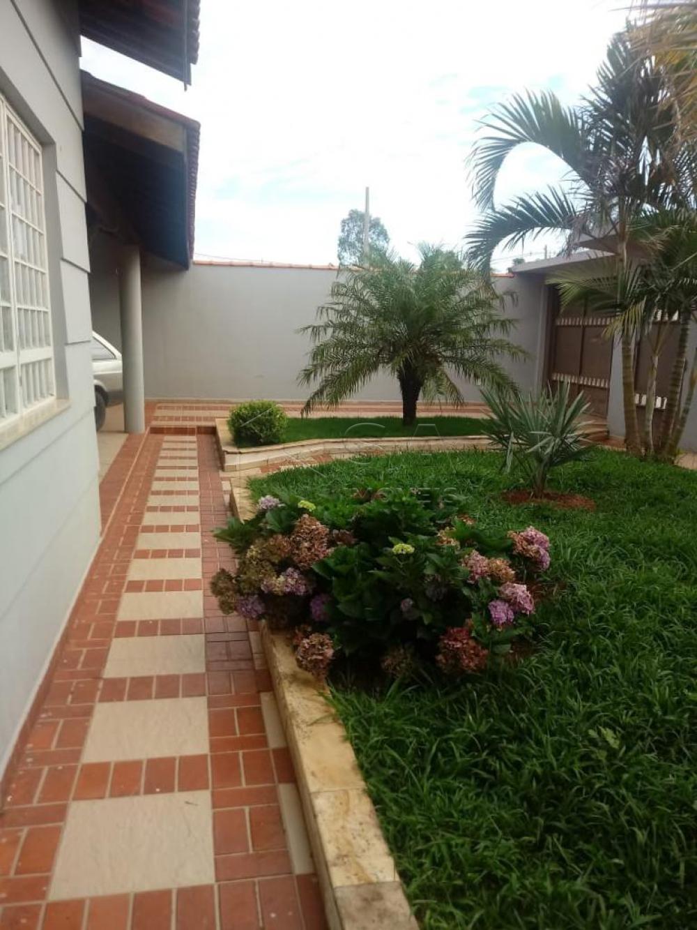 Comprar Casa / Padrão em Botucatu apenas R$ 470.000,00 - Foto 1 Comprar Casa / Padrão em Botucatu apenas R$ 470.000,00 - Foto 1