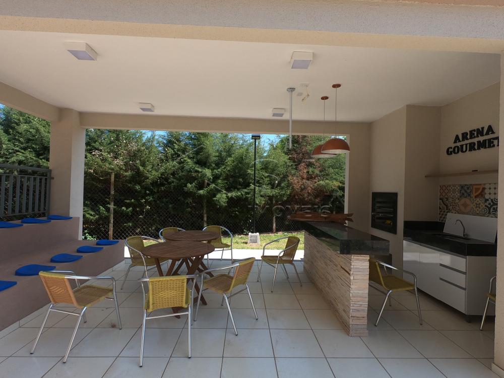 Alugar Apartamento / Padrão em Botucatu R$ 850,00 - Foto 17 Alugar Apartamento / Padrão em Botucatu R$ 850,00 - Foto 17