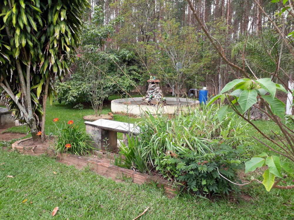 Comprar Rural / Chácara em Botucatu R$ 1.500.000,00 - Foto 8 Comprar Rural / Chácara em Botucatu R$ 1.500.000,00 - Foto 8