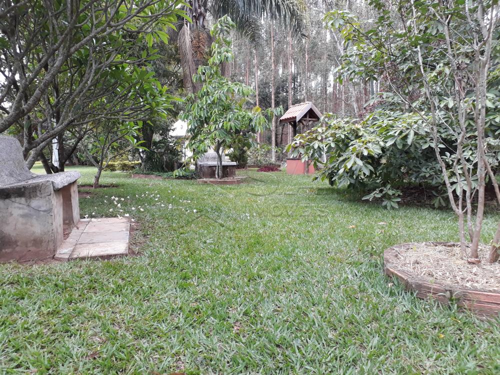 Comprar Rural / Chácara em Botucatu R$ 1.500.000,00 - Foto 10 Comprar Rural / Chácara em Botucatu R$ 1.500.000,00 - Foto 10