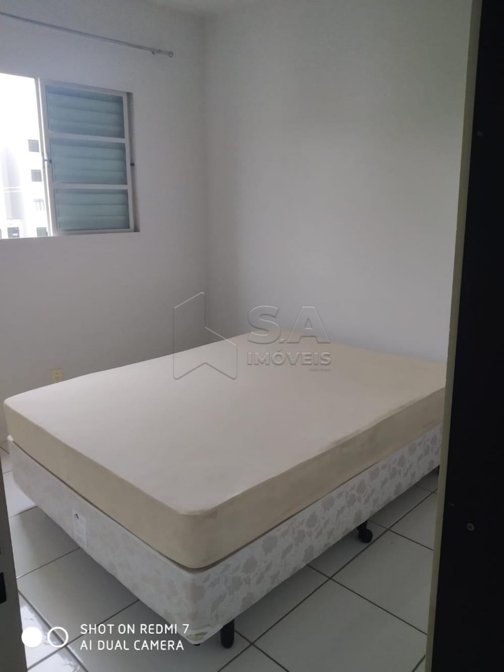 Alugar Apartamento / Mobiliado em Botucatu R$ 800,00 - Foto 12