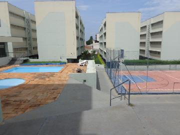 Alugar Apartamento / Padrão em Botucatu R$ 800,00 - Foto 13 Alugar Apartamento / Padrão em Botucatu R$ 800,00 - Foto 13