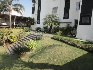 Alugar Apartamento / Padrão em Botucatu R$ 700,00 - Foto 16 Alugar Apartamento / Padrão em Botucatu R$ 700,00 - Foto 16