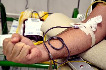Hemocentro do HCFMB necessita de doaes de sangue e de plaquetas