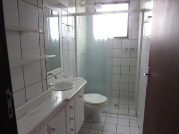 Alugar Apartamento / Padrão em Botucatu R$ 700,00 - Foto 11 Alugar Apartamento / Padrão em Botucatu R$ 700,00 - Foto 11