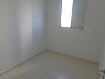 Alugar Apartamento / Padrão em Botucatu R$ 700,00 - Foto 4 Alugar Apartamento / Padrão em Botucatu R$ 700,00 - Foto 4
