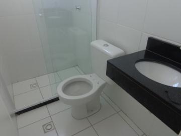 Alugar Apartamento / Padrão em Botucatu R$ 700,00 - Foto 6 Alugar Apartamento / Padrão em Botucatu R$ 700,00 - Foto 6