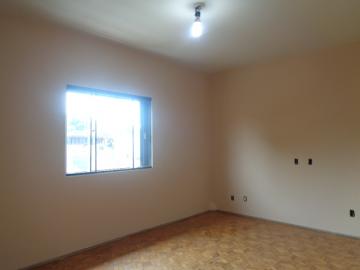 Alugar Comercial / Sala em Botucatu R$ 1.200,00 - Foto 1 Alugar Comercial / Sala em Botucatu R$ 1.200,00 - Foto 1