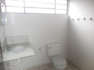 Alugar Apartamento / Padrão em Botucatu R$ 900,00 - Foto 6 Alugar Apartamento / Padrão em Botucatu R$ 900,00 - Foto 6