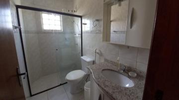 Alugar Apartamento / Mobiliado em Botucatu R$ 1.000,00 - Foto 10 Alugar Apartamento / Mobiliado em Botucatu R$ 1.000,00 - Foto 10
