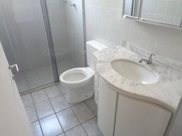 Alugar Apartamento / Padrão em Botucatu R$ 660,00 - Foto 5 Alugar Apartamento / Padrão em Botucatu R$ 660,00 - Foto 5