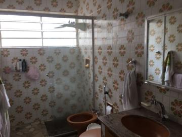 Comprar Comercial / Casa Comercial em Botucatu R$ 650.000,00 - Foto 7 Comprar Comercial / Casa Comercial em Botucatu R$ 650.000,00 - Foto 7