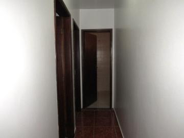 Alugar Apartamento / Padrão em Botucatu R$ 900,00 - Foto 6 Alugar Apartamento / Padrão em Botucatu R$ 900,00 - Foto 6