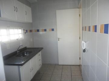 Alugar Apartamento / Padrão em Botucatu R$ 720,00 - Foto 5 Alugar Apartamento / Padrão em Botucatu R$ 720,00 - Foto 5