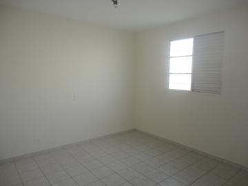 Alugar Apartamento / Padrão em Botucatu R$ 720,00 - Foto 9 Alugar Apartamento / Padrão em Botucatu R$ 720,00 - Foto 9