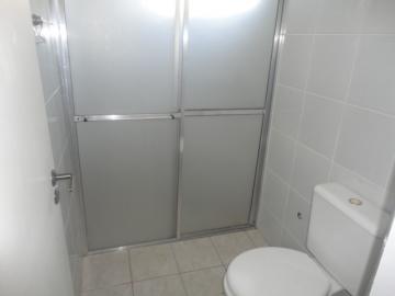 Alugar Apartamento / Padrão em Botucatu R$ 720,00 - Foto 8 Alugar Apartamento / Padrão em Botucatu R$ 720,00 - Foto 8