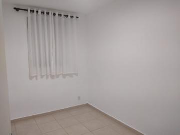 Alugar Apartamento / Padrão em Botucatu R$ 850,00 - Foto 6 Alugar Apartamento / Padrão em Botucatu R$ 850,00 - Foto 6