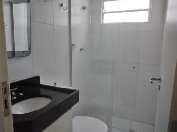Alugar Apartamento / Padrão em Botucatu R$ 850,00 - Foto 8 Alugar Apartamento / Padrão em Botucatu R$ 850,00 - Foto 8