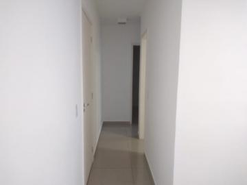 Alugar Apartamento / Padrão em Botucatu R$ 850,00 - Foto 9 Alugar Apartamento / Padrão em Botucatu R$ 850,00 - Foto 9