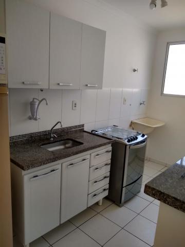 Alugar Apartamento / Mobiliado em Botucatu R$ 950,00 - Foto 3 Alugar Apartamento / Mobiliado em Botucatu R$ 950,00 - Foto 3